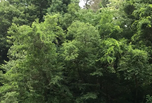 泉自然公園の写真・動画_image_1376260