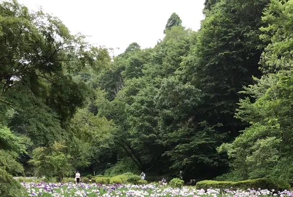 泉自然公園の写真・動画_image_1376261