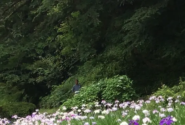 泉自然公園の写真・動画_image_1376262