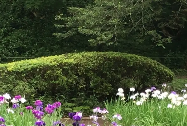 泉自然公園の写真・動画_image_1376265