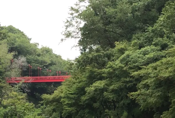 泉自然公園の写真・動画_image_1376266