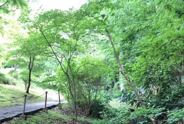 泉谷公園の写真・動画_image_1376388