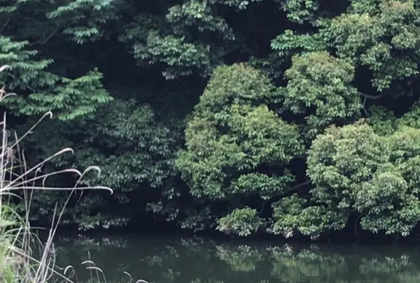 泉谷公園の写真・動画_image_1376389
