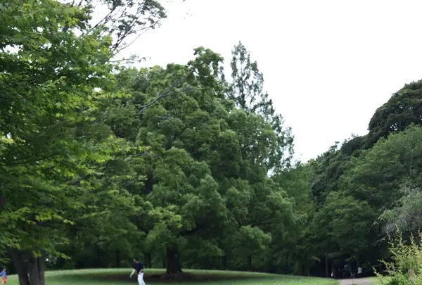 泉谷公園の写真・動画_image_1376390