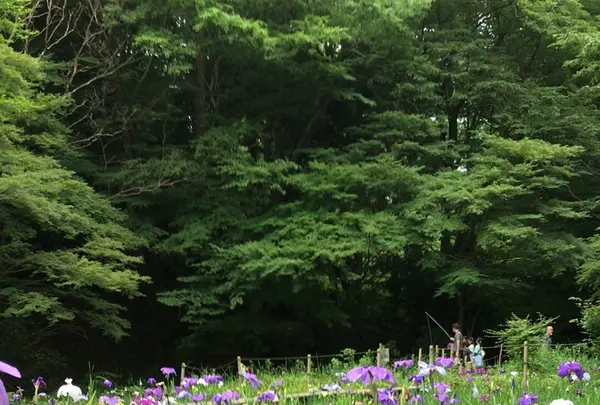 泉谷公園の写真・動画_image_1376392