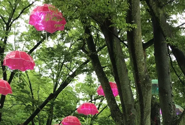 千葉公園の写真・動画_image_1376824