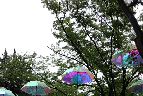 千葉公園の写真・動画_image_1376827