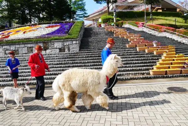 那須高原 りんどう湖ファミリー牧場の写真・動画_image_1377682