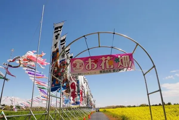 那須ハートフルファーム 菜の花畑 ひまわり畑 愛込の写真・動画_image_1380561