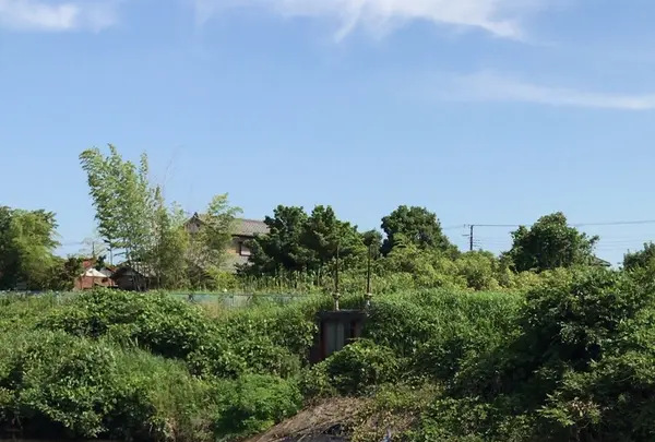 村田川の写真・動画_image_1381226