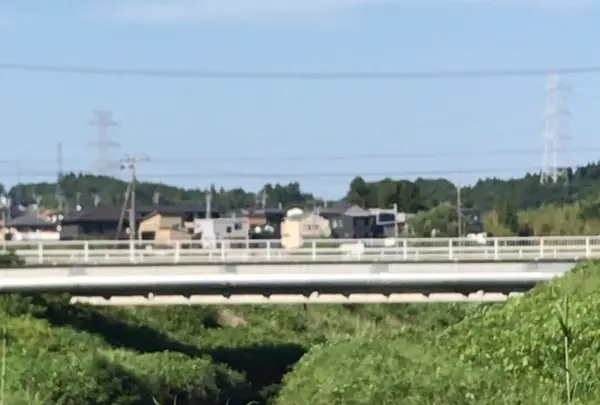 村田川の写真・動画_image_1381228