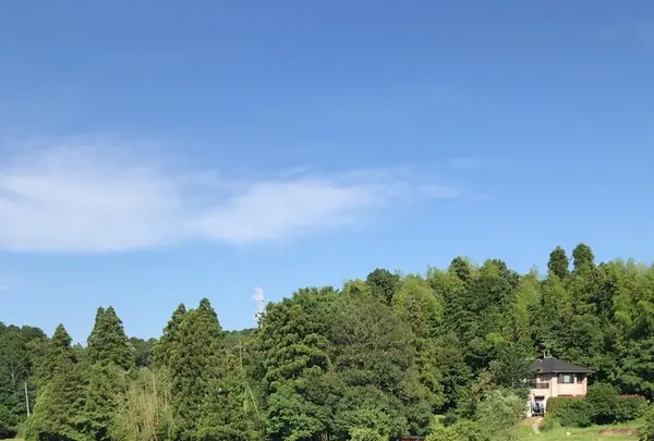 村田川の写真・動画_image_1381229