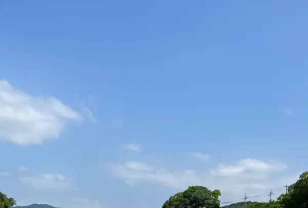 半木の道の写真・動画_image_1382393