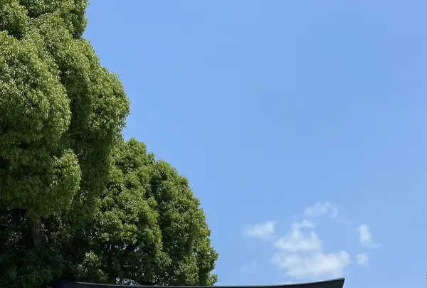 上賀茂神社（賀茂別雷神社）の写真・動画_image_1382400