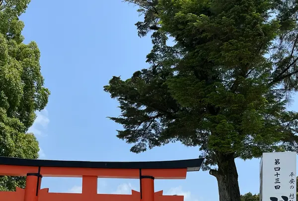 上賀茂神社（賀茂別雷神社）の写真・動画_image_1382402