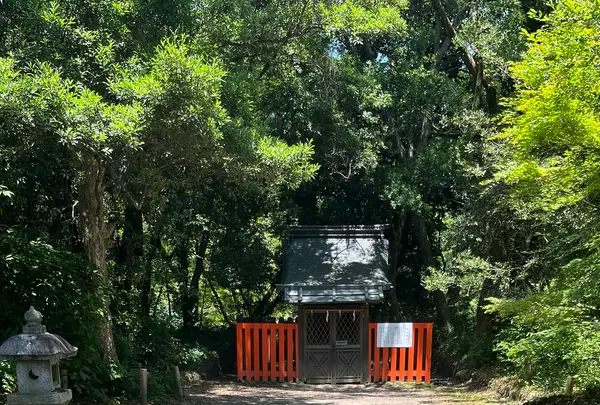 半木神社の写真・動画_image_1382447