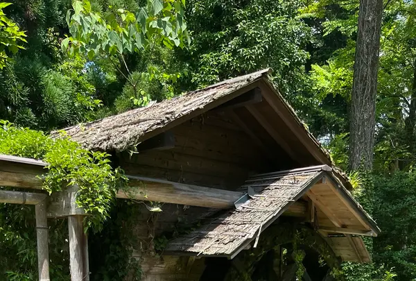 半木神社の写真・動画_image_1382449