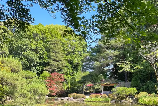 平安神宮の写真・動画_image_1382547