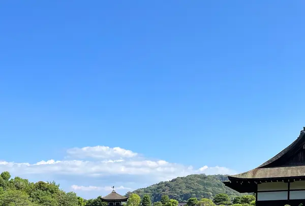 平安神宮の写真・動画_image_1382551
