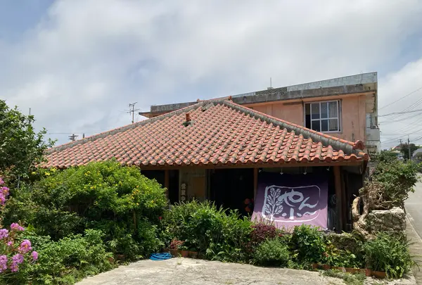 やん小～の写真・動画_image_1384301