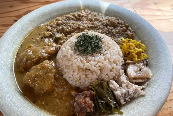 本と玄米カレー ヨスカの写真・動画_image_1384998