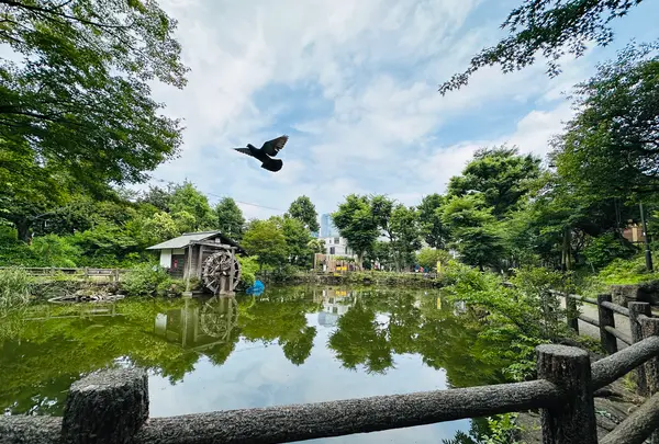 鍋島松濤公園の写真・動画_image_1387161