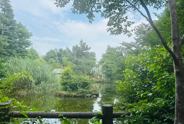 鍋島松濤公園の写真・動画_image_1387166