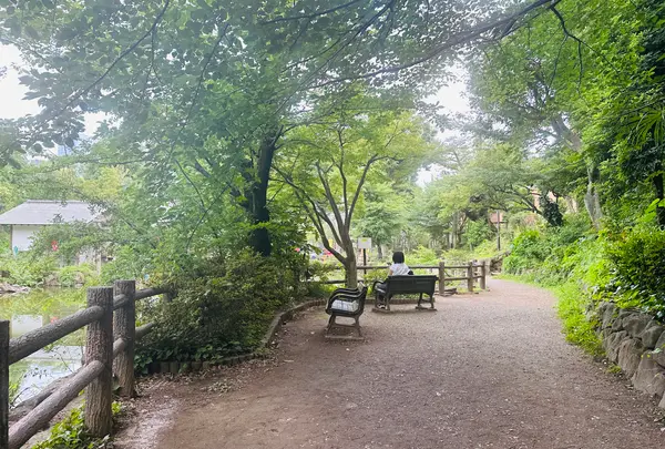 鍋島松濤公園の写真・動画_image_1387167