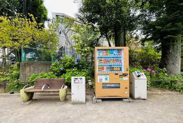 鍋島松濤公園の写真・動画_image_1387170