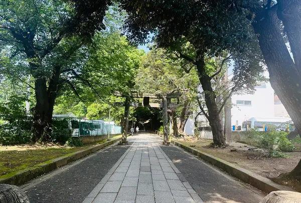 氷川の杜公園の写真・動画_image_1387567