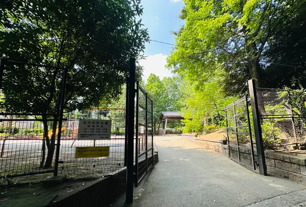 氷川の杜公園の写真・動画_image_1387568