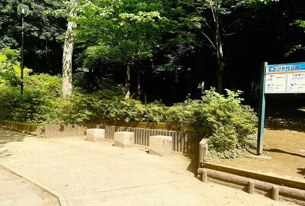 氷川の杜公園の写真・動画_image_1387571