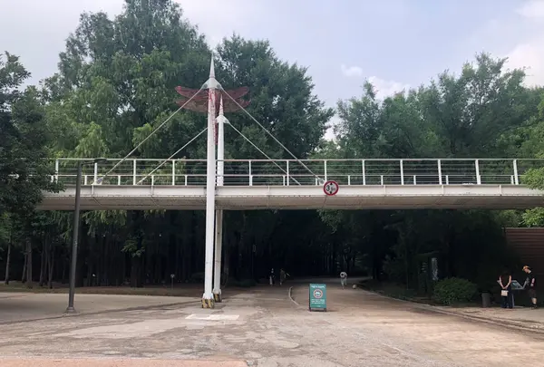 ソウルの森/ソウルスッ/서울숲の写真・動画_image_1392778