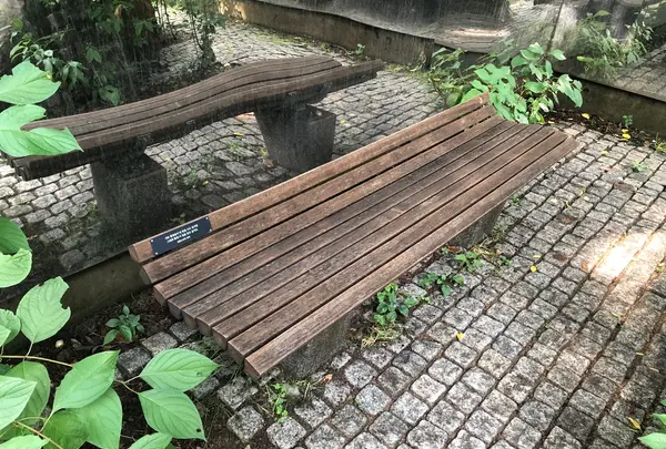 ソウルの森/ソウルスッ/서울숲の写真・動画_image_1392780