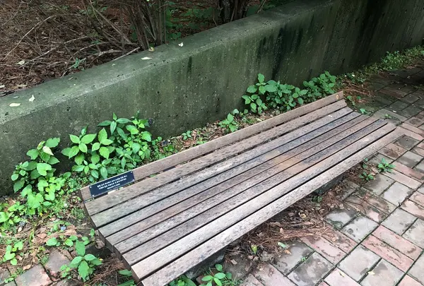 ソウルの森/ソウルスッ/서울숲の写真・動画_image_1392785