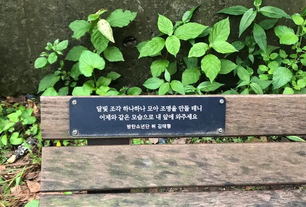 ソウルの森/ソウルスッ/서울숲の写真・動画_image_1392786