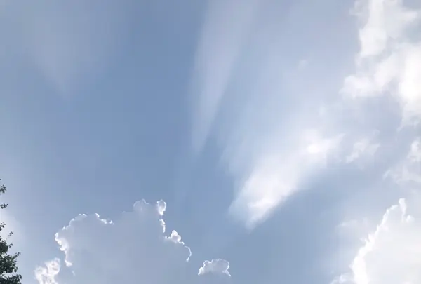 ソウルの森/ソウルスッ/서울숲の写真・動画_image_1392788