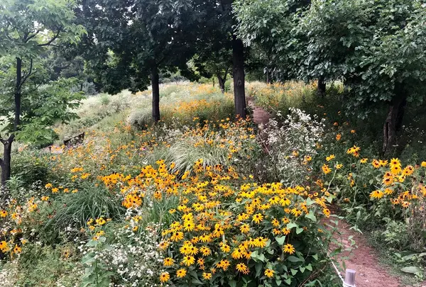 ソウルの森/ソウルスッ/서울숲の写真・動画_image_1392791