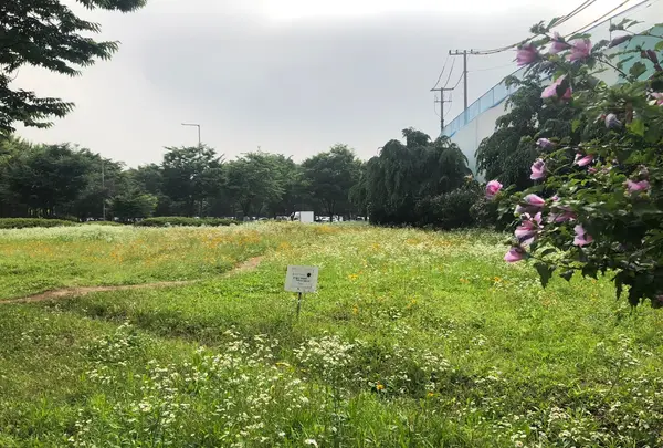 ソウルの森/ソウルスッ/서울숲の写真・動画_image_1392792