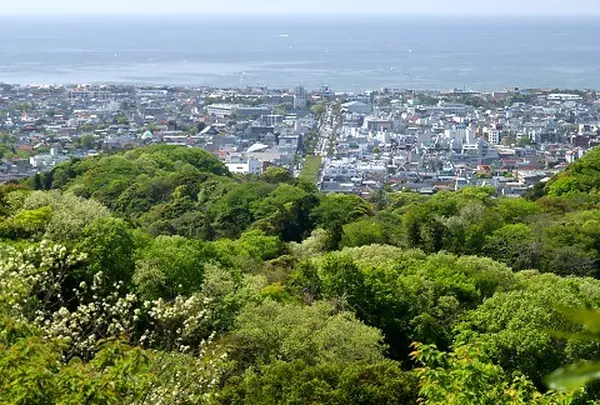 天園ハイキングコース
