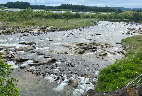 川霧の湯の写真・動画_image_1393745