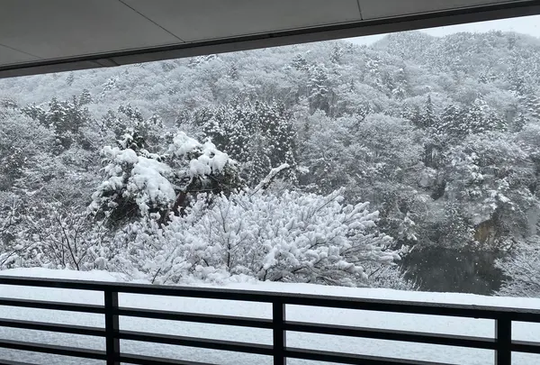 湯処すず風の写真・動画_image_1393759