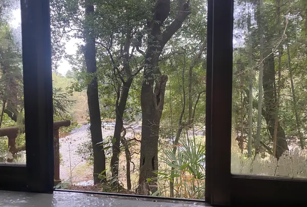 八溝温泉の写真・動画_image_1393764