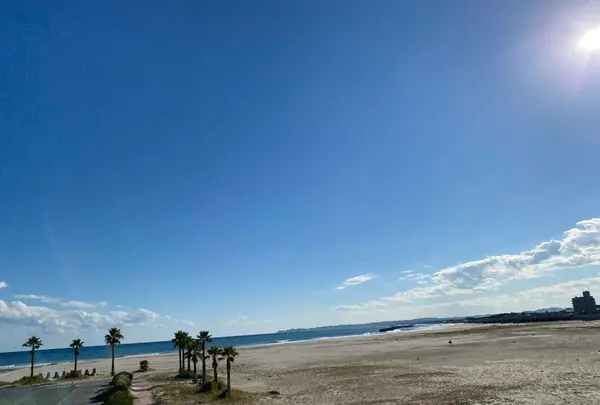 道の駅よつくら港の写真・動画_image_1393769