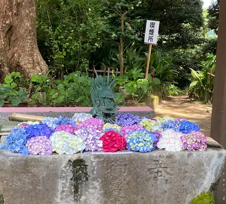 あじさいの杜の写真・動画_image_1393787