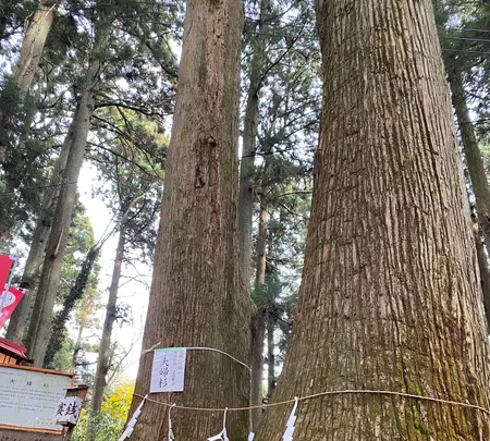 羽黒山展望所の写真・動画_image_1393821