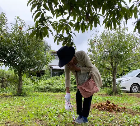 ショコロンファーム市ノ澤栗園当日予約可焼き栗土日祝のみOPEN（発送不可）の写真・動画_image_1393828