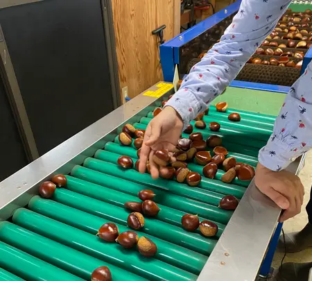 ショコロンファーム市ノ澤栗園当日予約可焼き栗土日祝のみOPEN（発送不可）の写真・動画_image_1393831