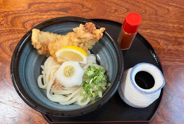本格手打うどん 麺むすびの写真・動画_image_1397985