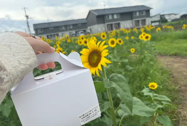 おかしの時間の写真・動画_image_1397999